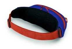 Osprey Daylite Heuptas - Blauw/Oranje -Buiten Kamperen Winkel 1900 1425 daylitewaist s23 sideback silverliningblueberry 10005144