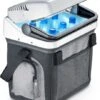 Dometic Bordbar AS 25 Draagbare Elektrische Koelbox - 20 Liter -Buiten Kamperen Winkel 1900 1900 as25 9105302816 p401