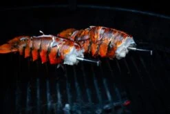 MEATER Block Met 4 Draadloze Thermometers -Buiten Kamperen Winkel 20190625 mg 6541