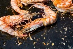 OFYR Kookboek -Buiten Kamperen Winkel 800 1200 cb no1 nl fr 3