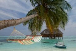 La Siesta Colada 1 Persoons Hangmat - Curacao -Buiten Kamperen Winkel 800 1200 cor14 3 ambiance 005