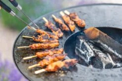 RedFire ONYX Classic Vuurschaal Bbq - 80 Cm -Buiten Kamperen Winkel 85208 lifestyle 06 1