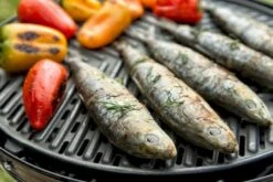 CADAC Grillo Chef 40 Gasbarbecue - BBQ/Chef Pan -Buiten Kamperen Winkel 900 1348 grillo chef 40 bbq grid