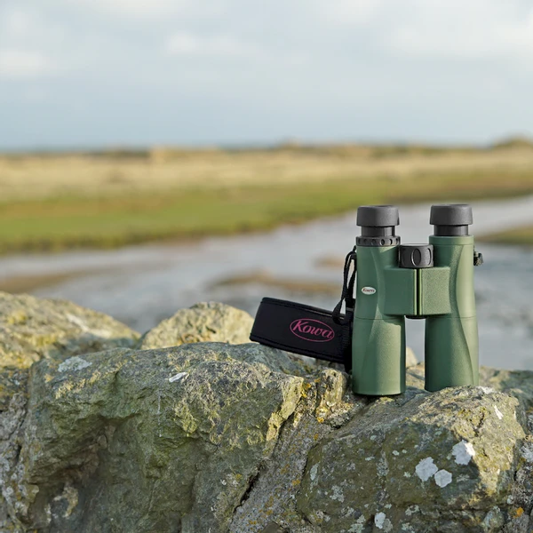 Kowa BDII XD verrekijker - 10x32 mm Kowa BDII XD Verrekijker - 10x32 Mm -Buiten Kamperen Winkel kowa bdii xd verrekijker 6 5 x 32 11 1